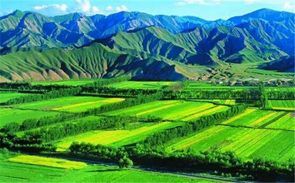 土壤墑情自動監(jiān)測設備